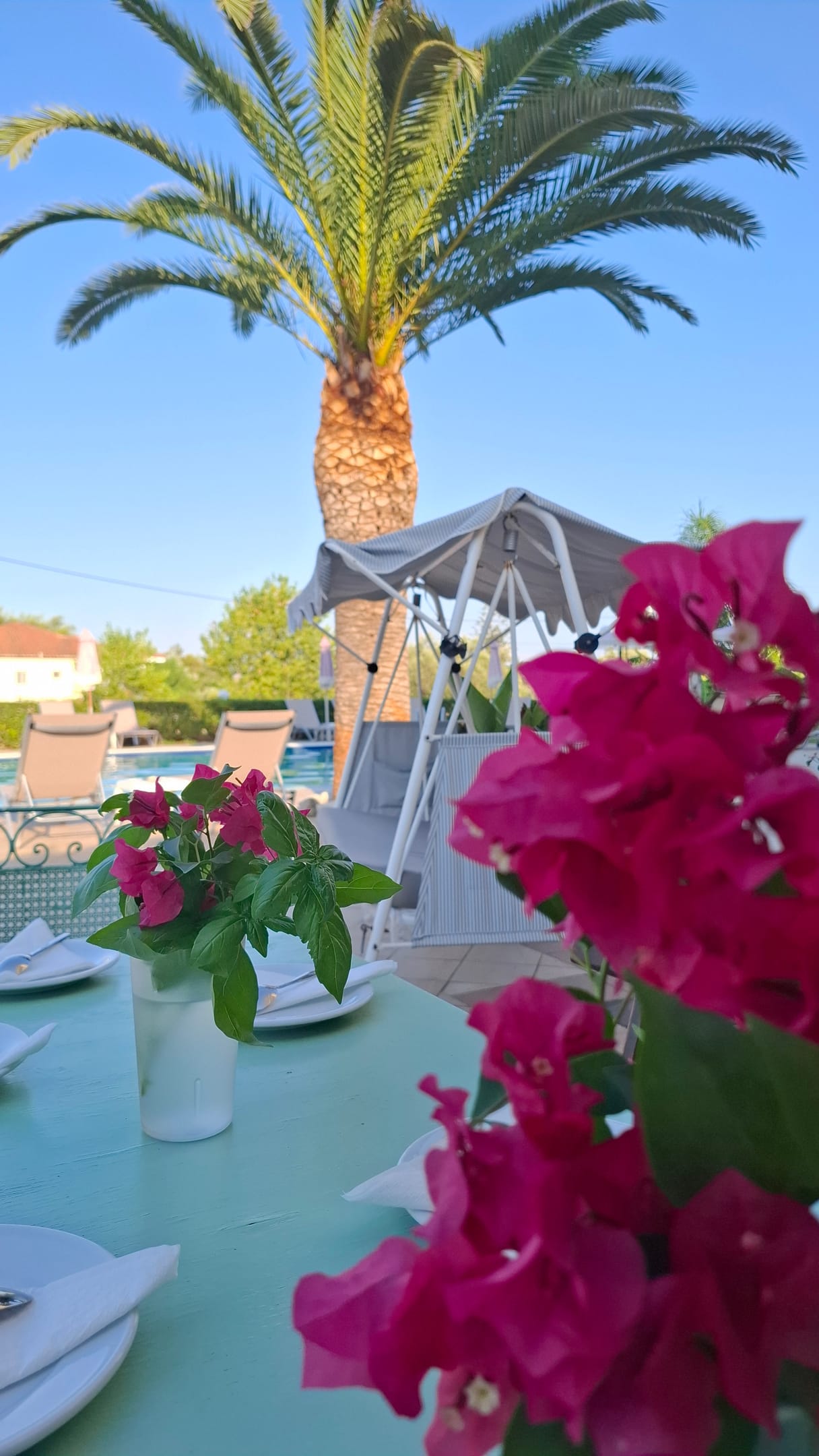 Sunflower Apartments & Studios Zakynthos