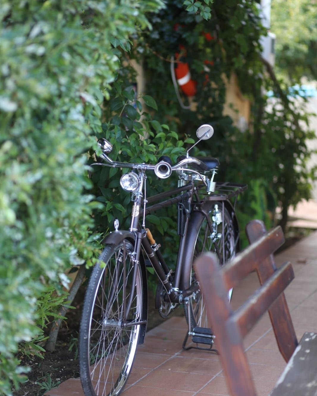 Sunflower Apartments & Studios Zakynthos