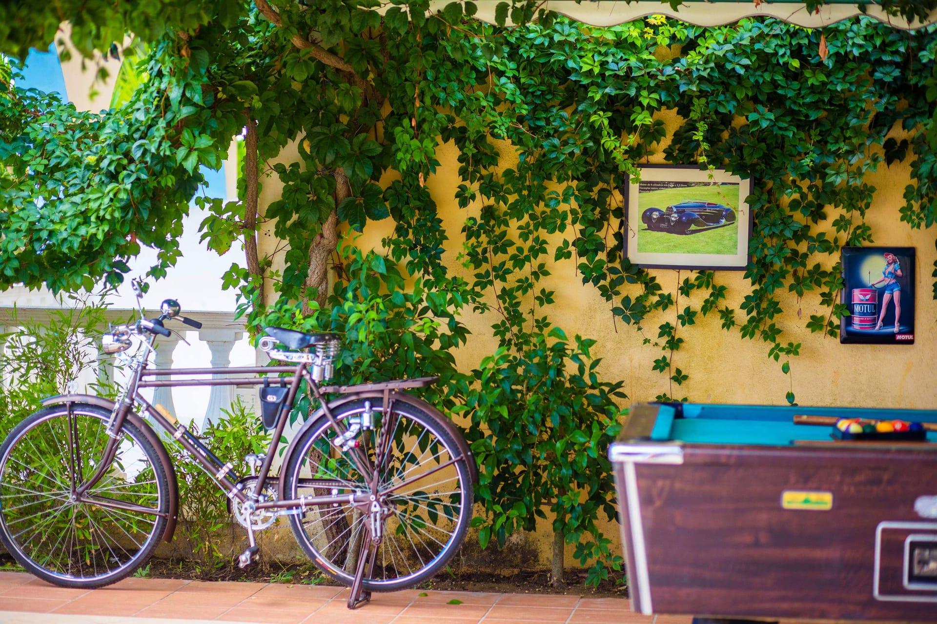 Sunflower Apartments & Studios Zakynthos