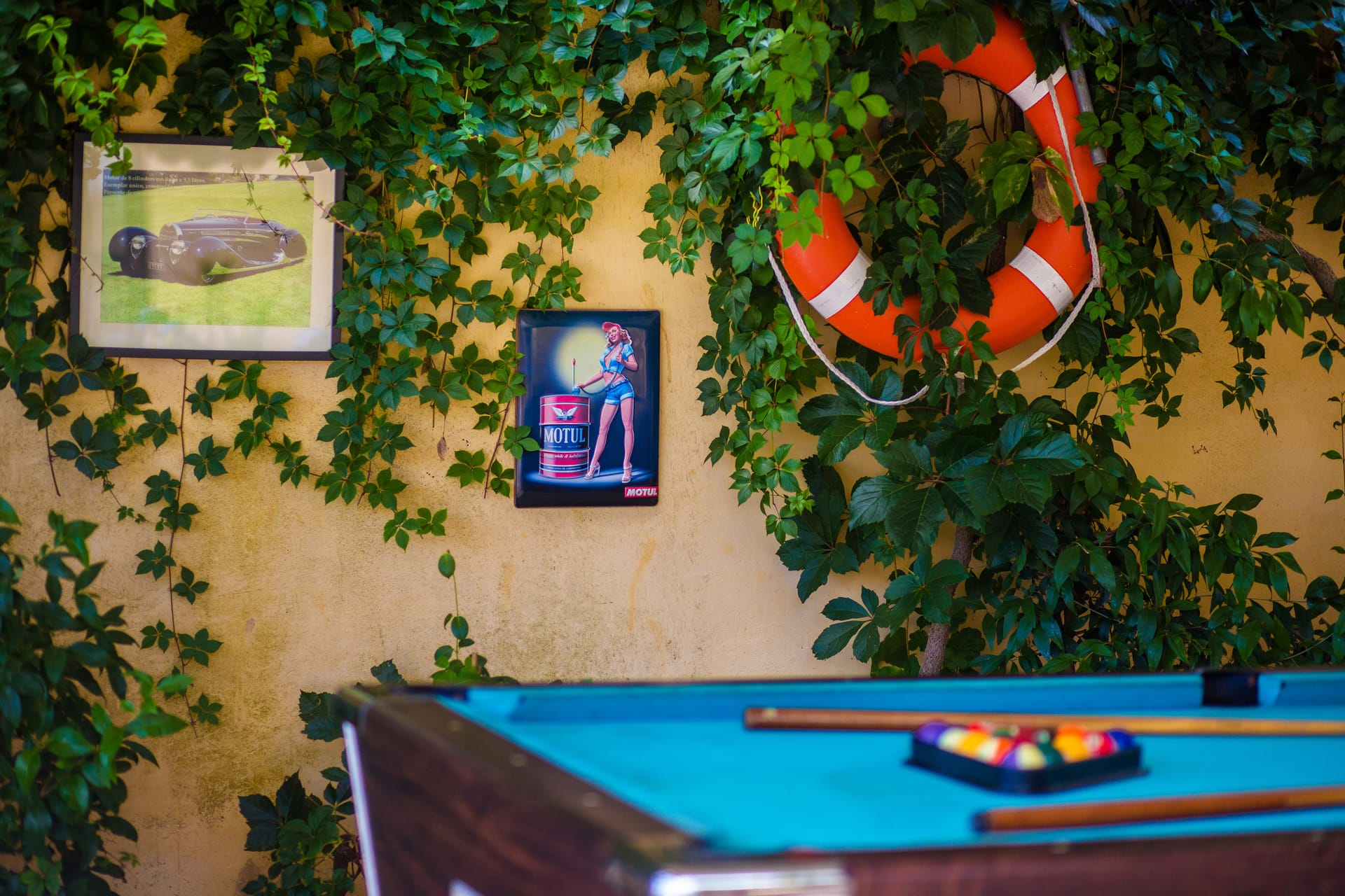 Sunflower Apartments & Studios Zakynthos