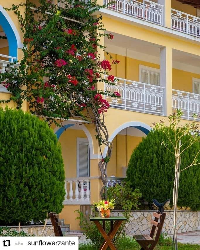 Sunflower Apartments & Studios Zakynthos