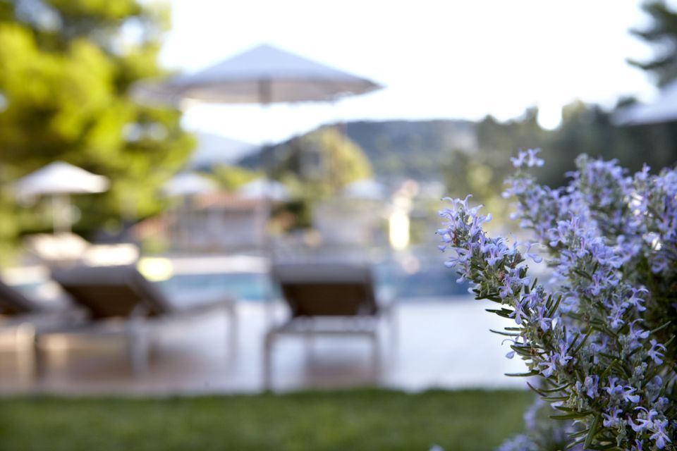 Thalassa Boutique Hotel Kefalonia