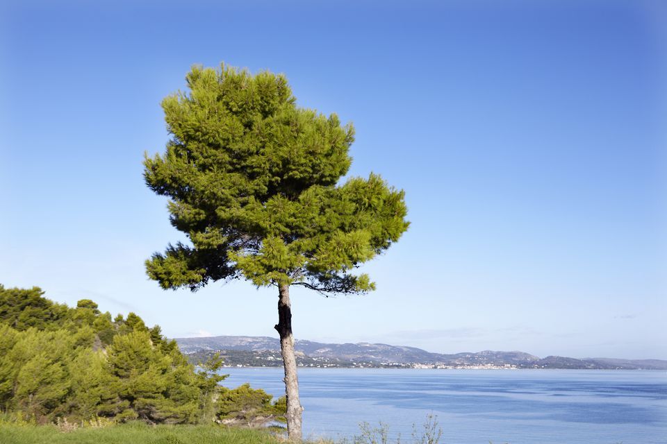 Thalassa Boutique Hotel Kefalonia