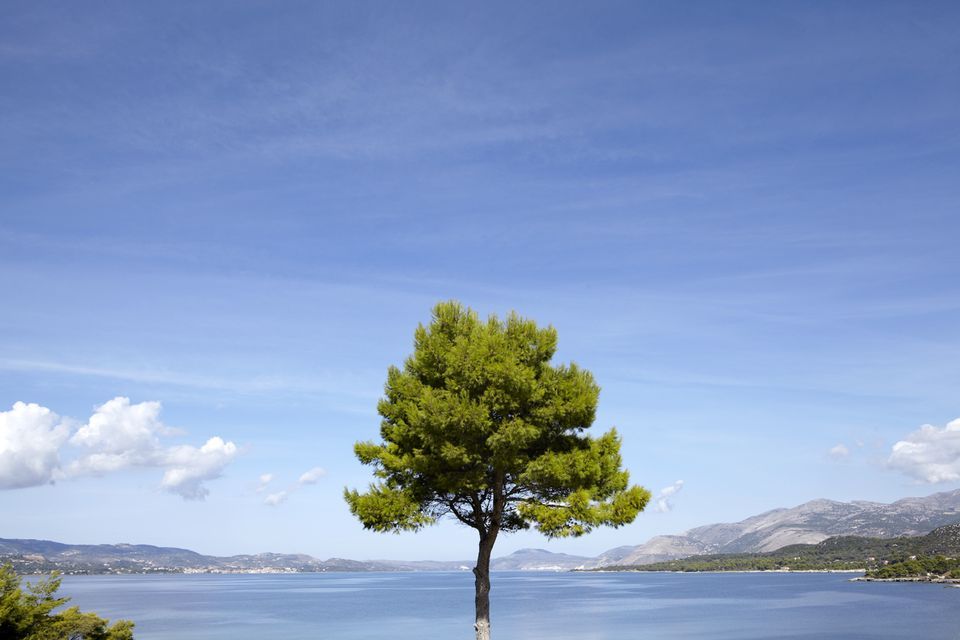 Thalassa Boutique Hotel Kefalonia