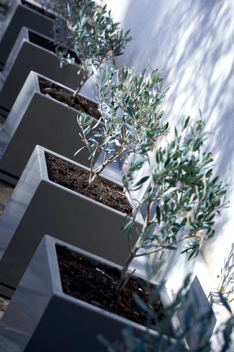 Torri E Merli Hotel Paxos