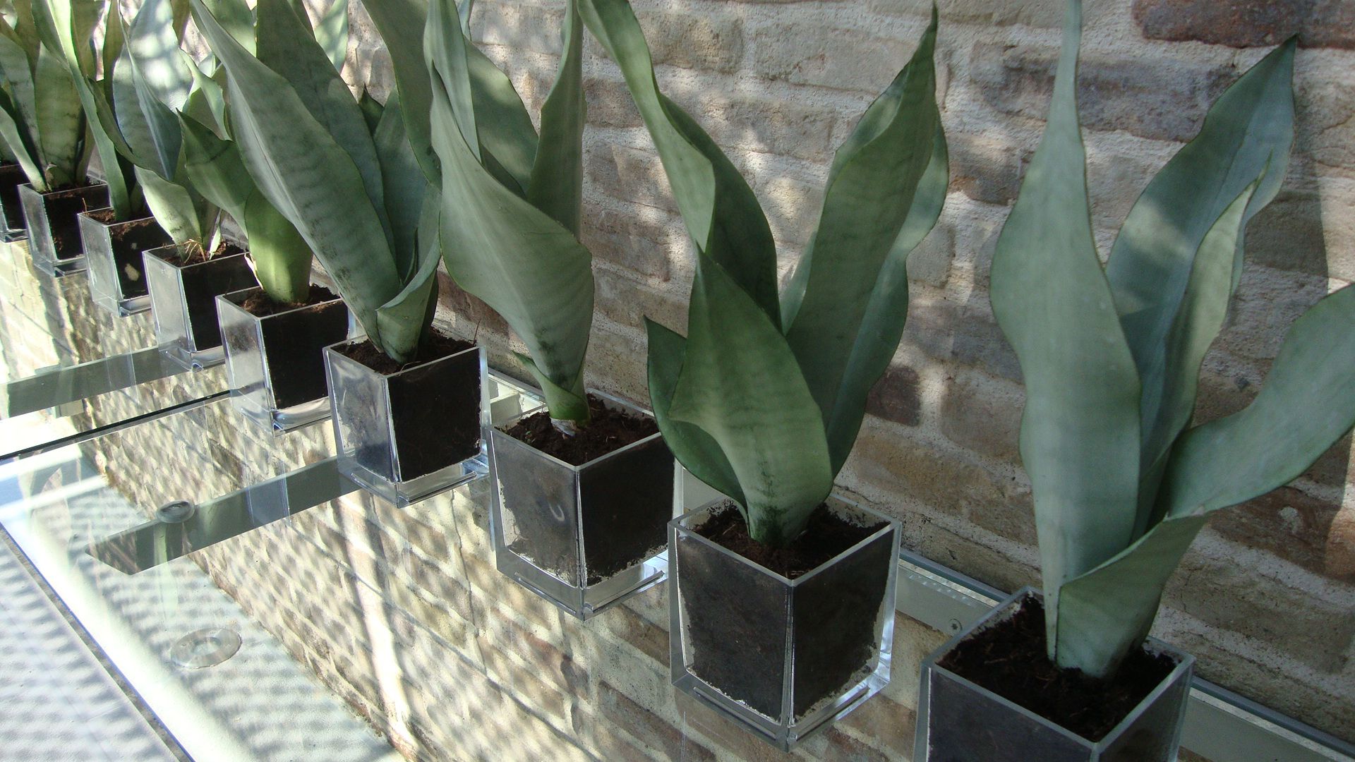 Torri E Merli Hotel Paxos