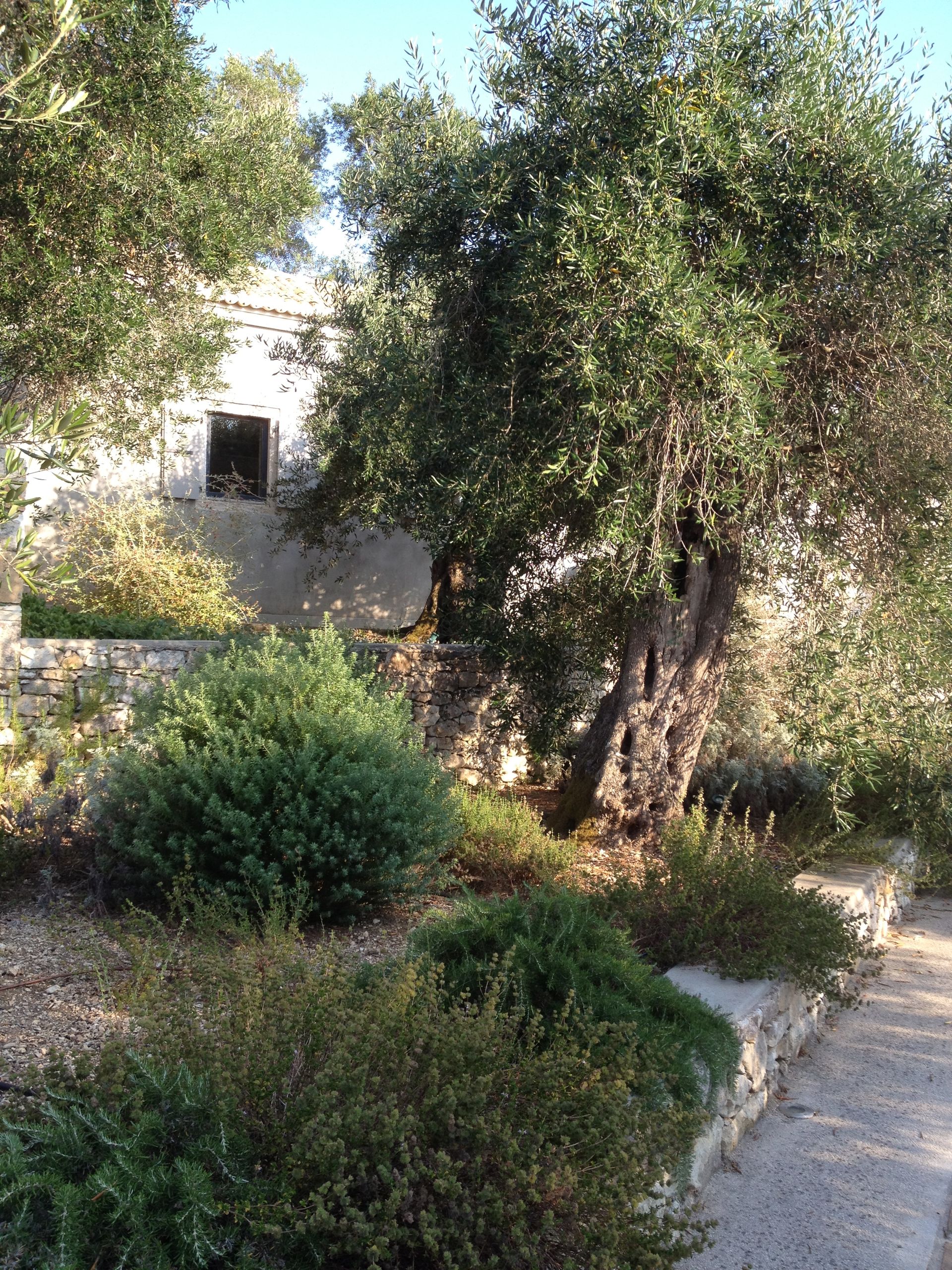 Torri E Merli Hotel Paxos