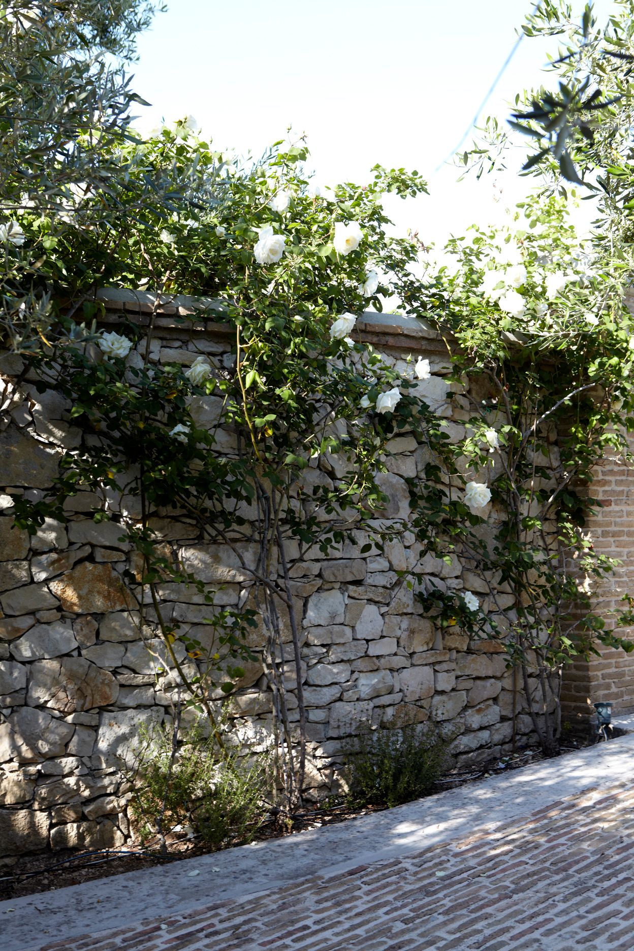 Torri E Merli Hotel Paxos