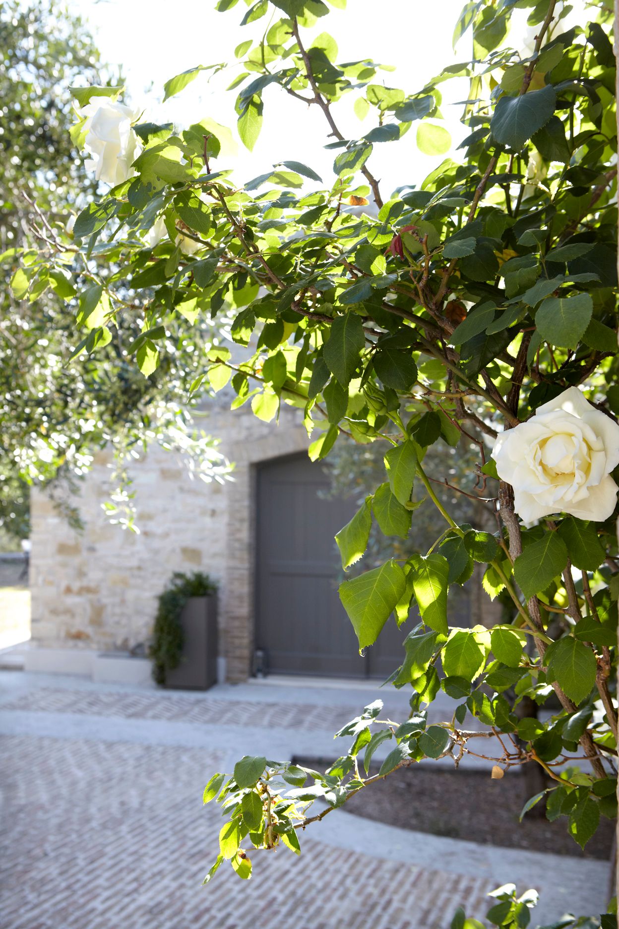 Torri E Merli Hotel Paxos