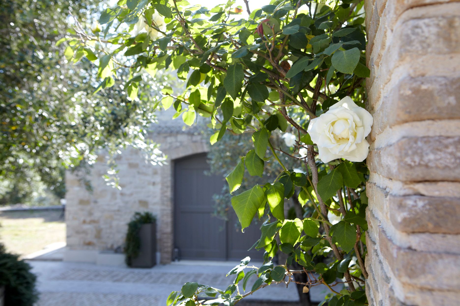 Torri E Merli Hotel Paxos
