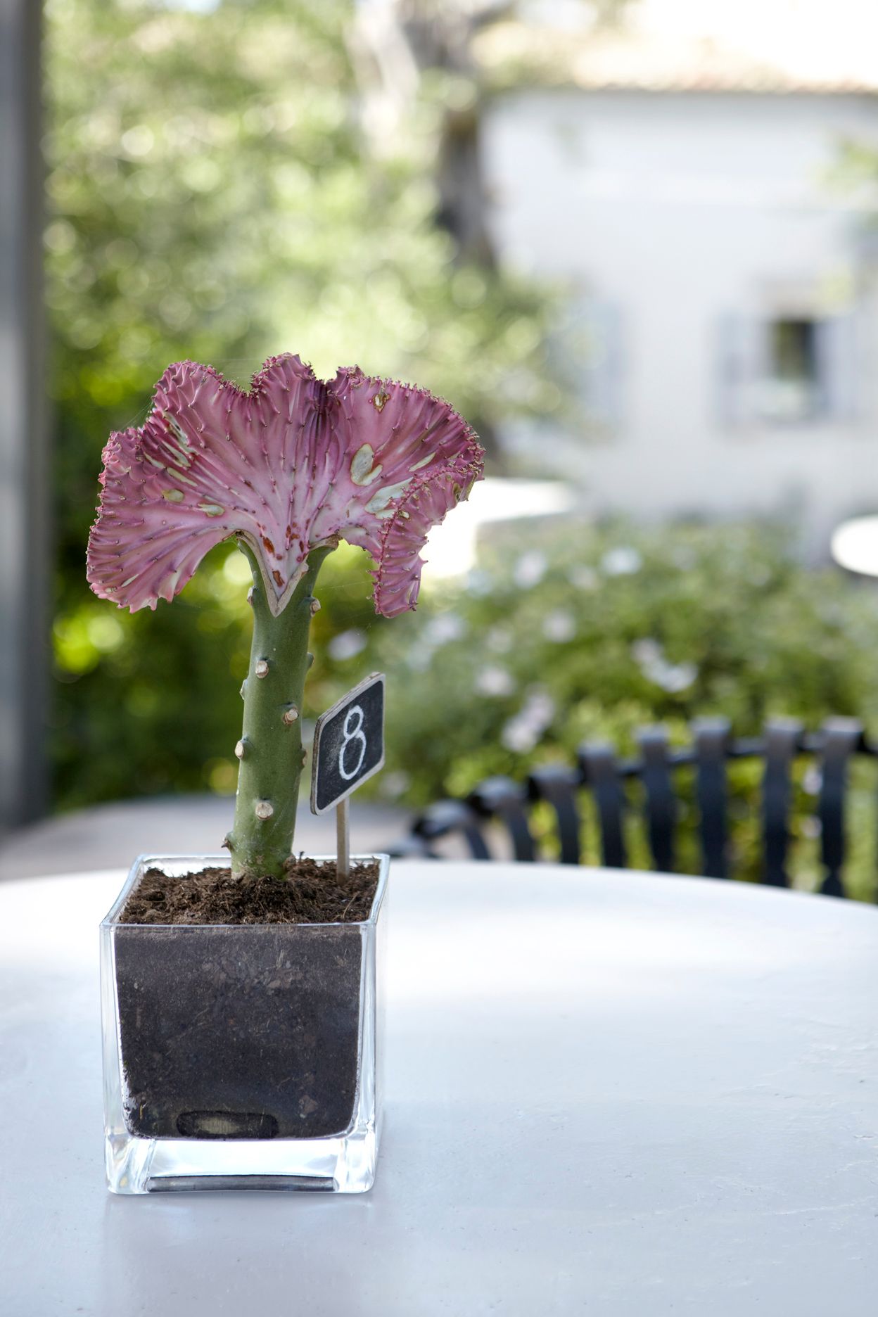 Torri E Merli Hotel Paxos