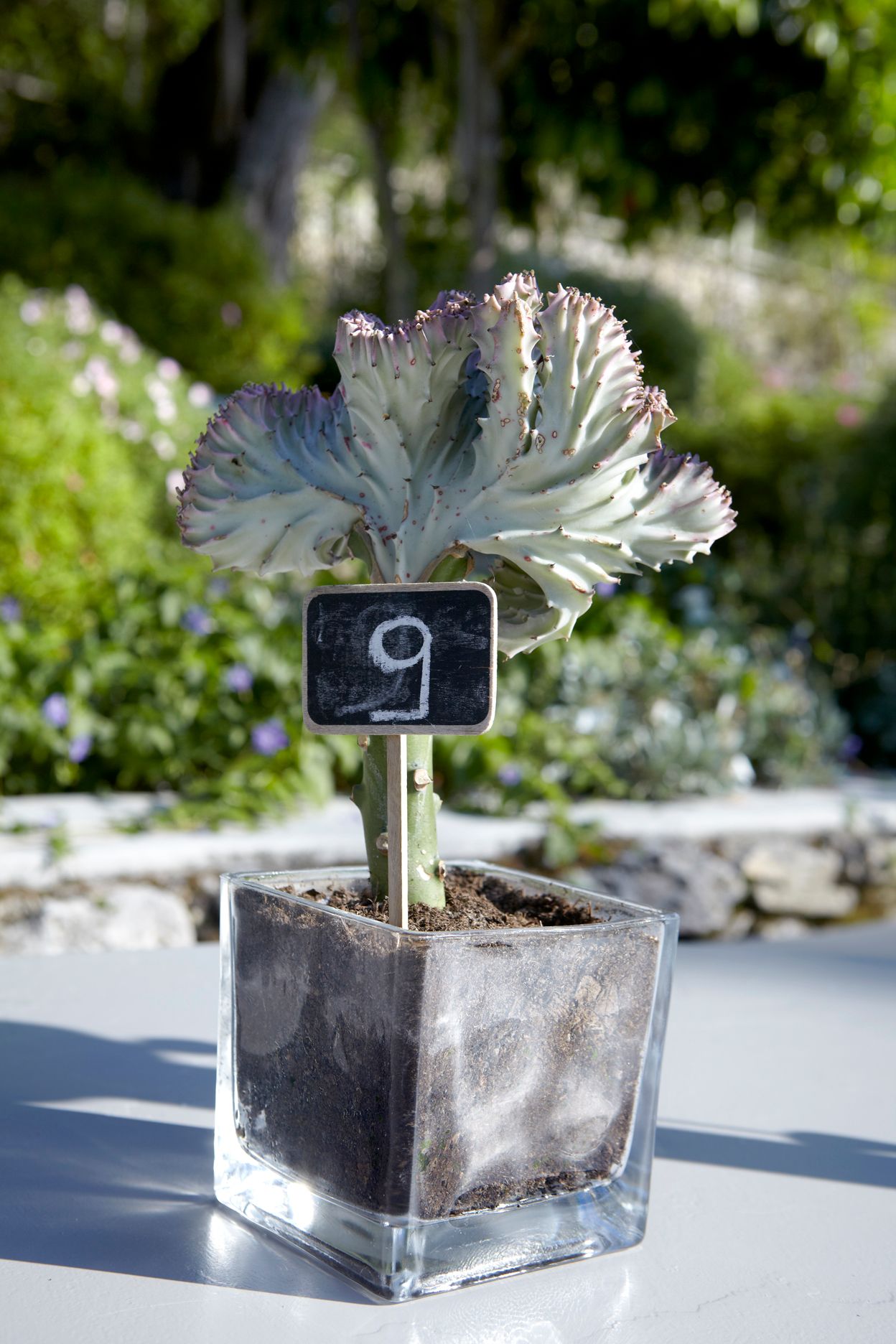 Torri E Merli Hotel Paxos