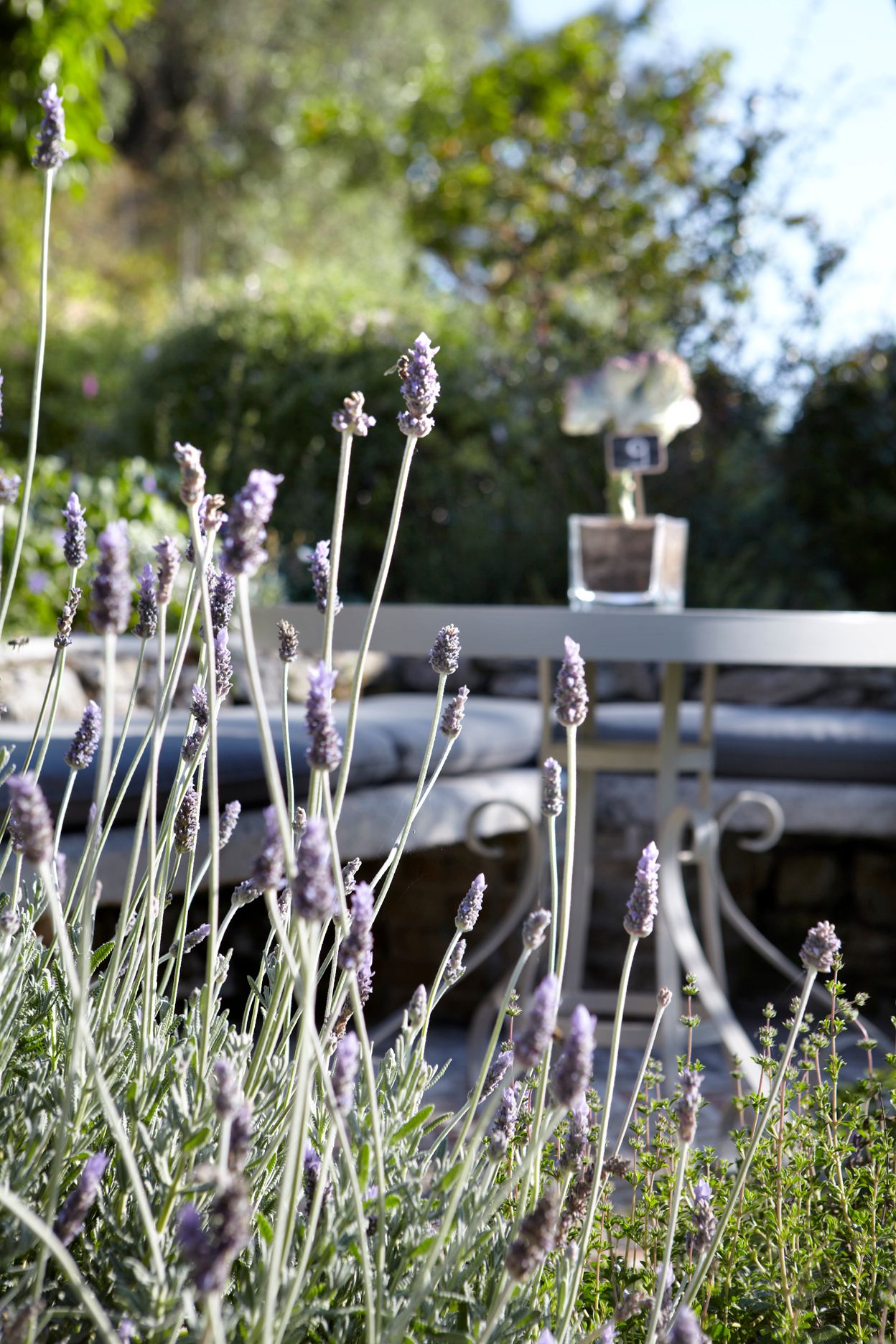 Torri E Merli Hotel Paxos