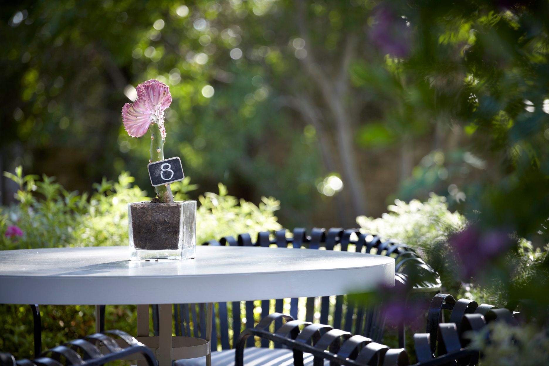 Torri E Merli Hotel Paxos