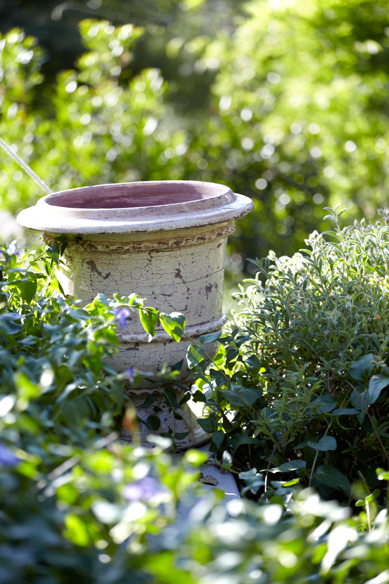 Torri E Merli Hotel Paxos