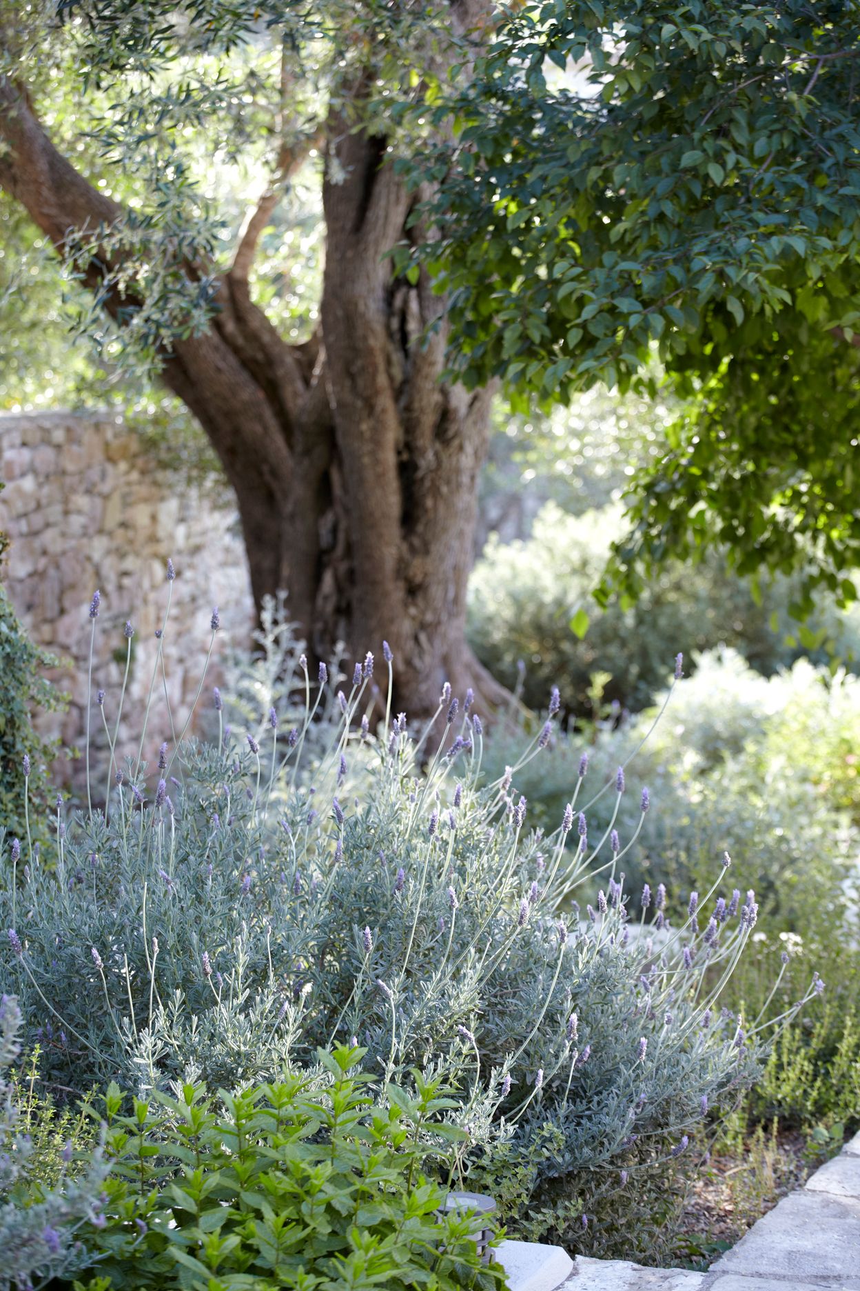 Torri E Merli Hotel Paxos