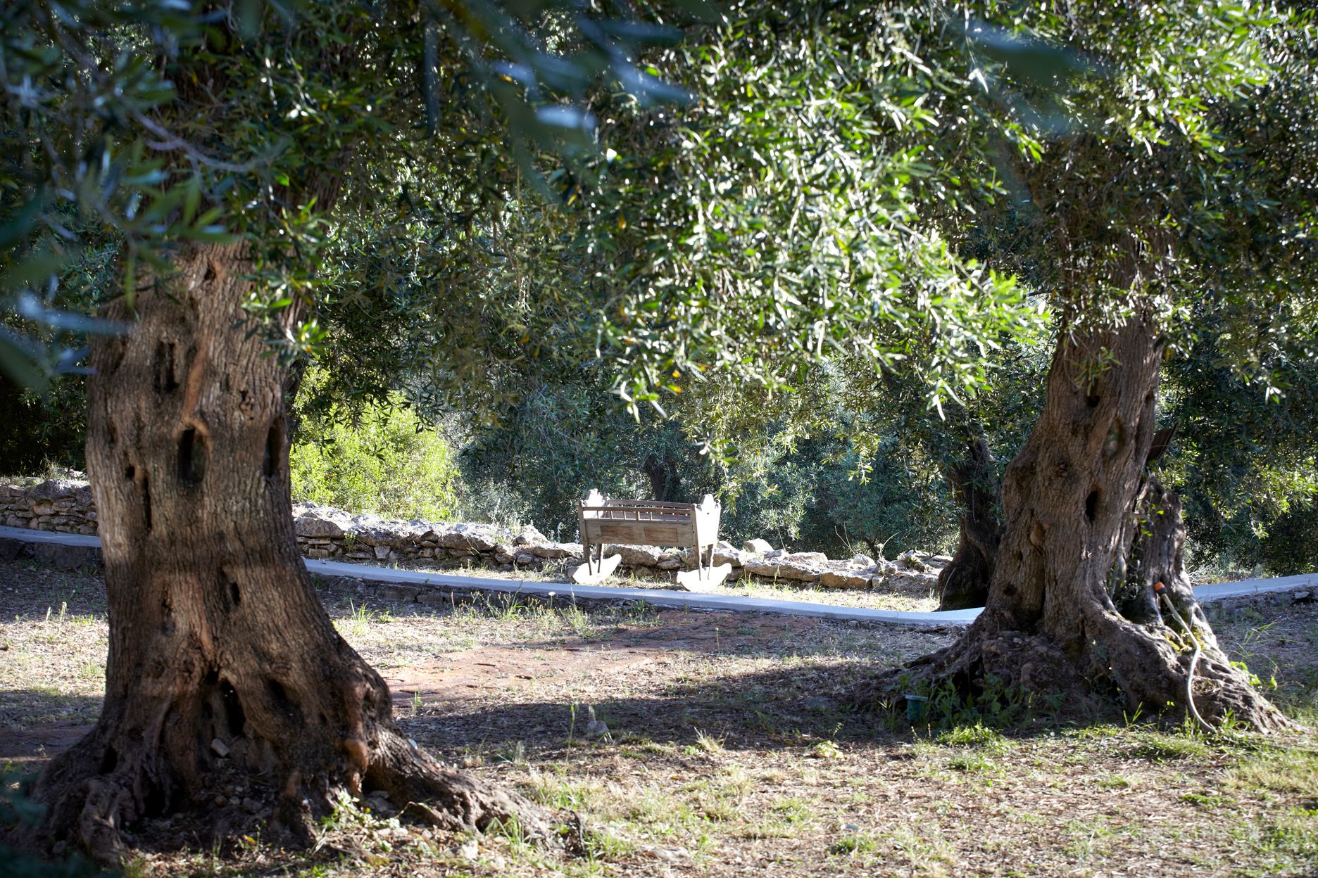 Torri E Merli Hotel Paxos