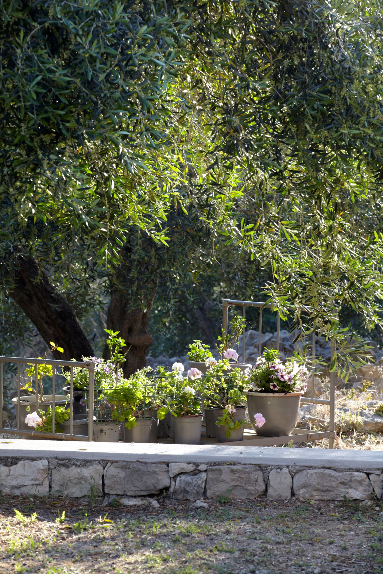 Torri E Merli Hotel Paxos