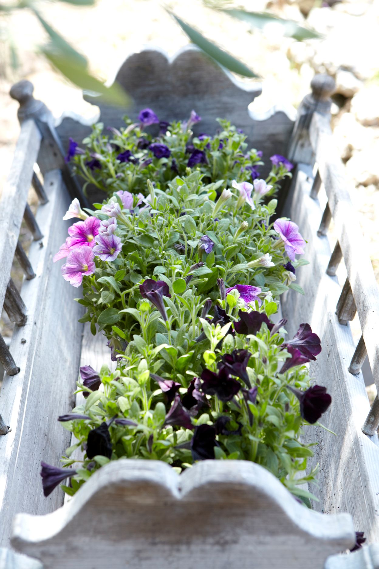 Torri E Merli Hotel Paxos