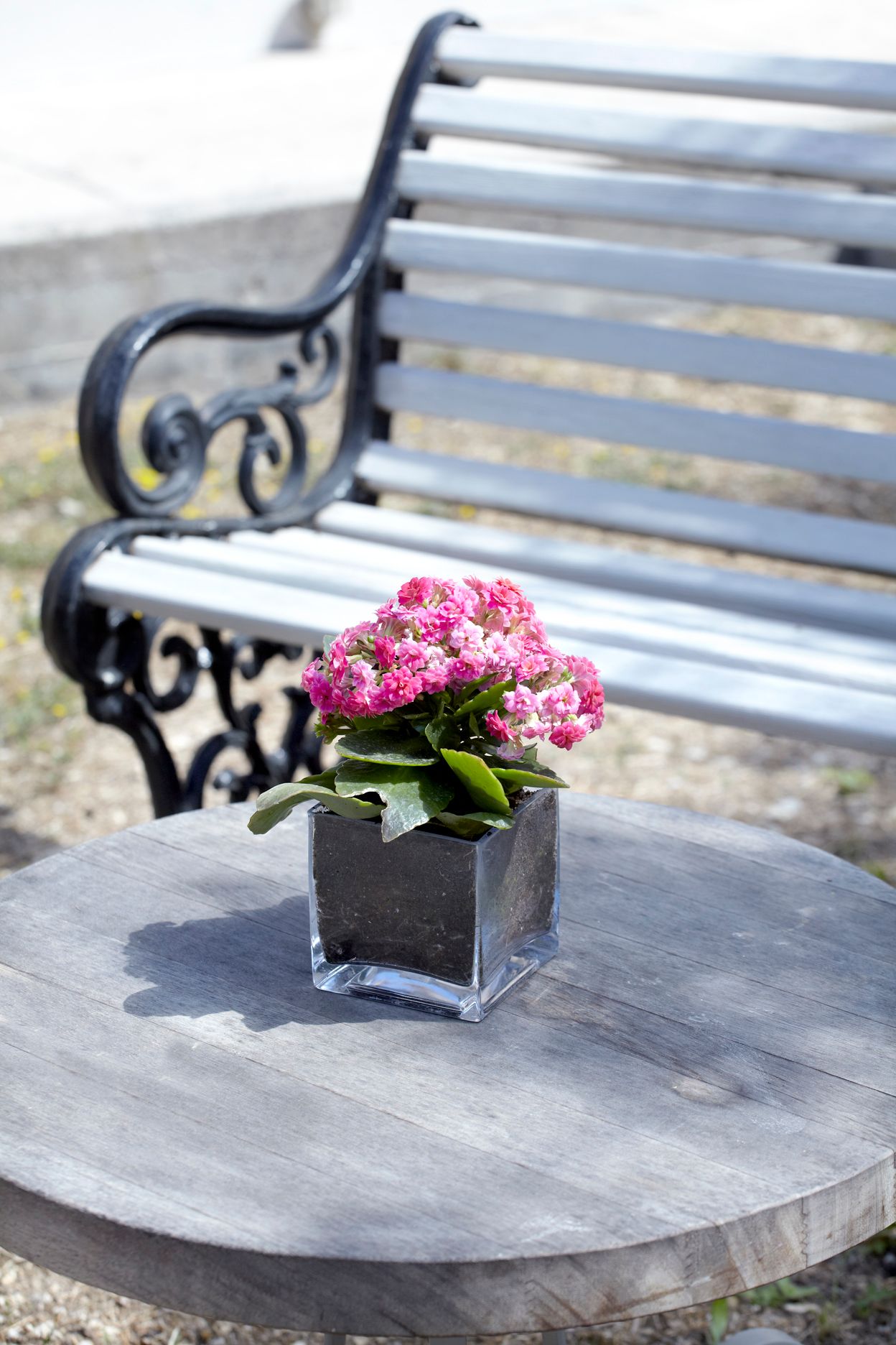 Torri E Merli Hotel Paxos