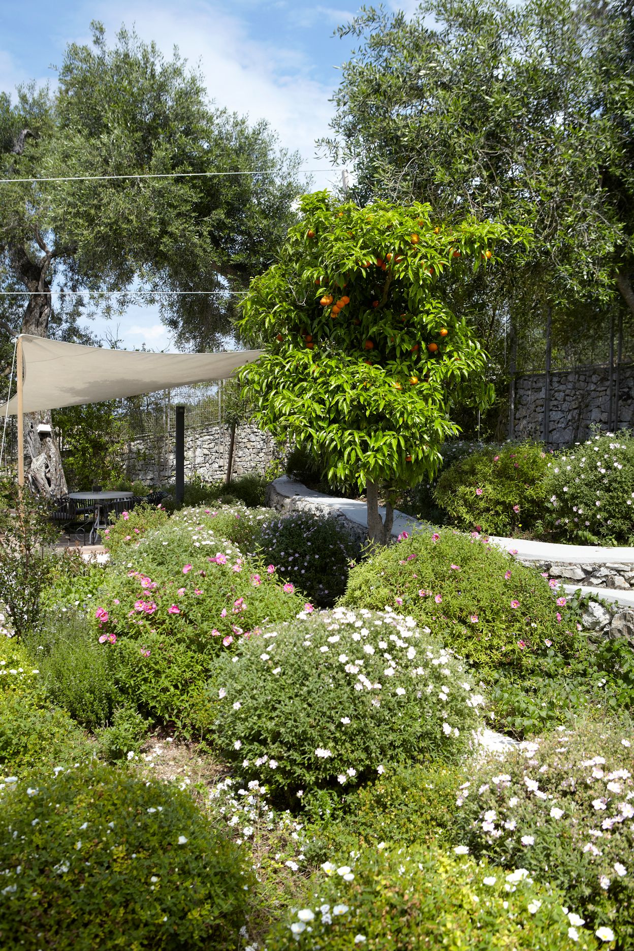 Torri E Merli Hotel Paxos