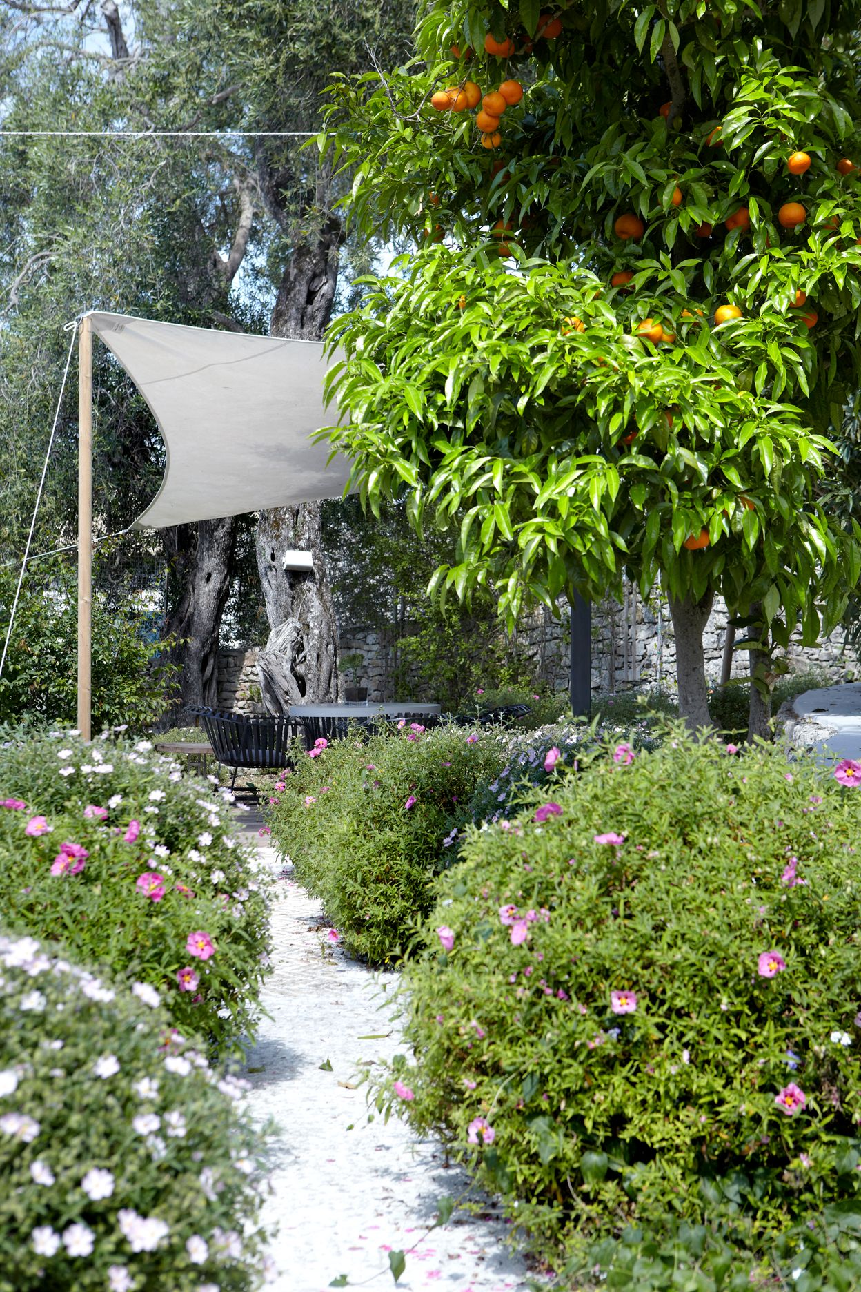 Torri E Merli Hotel Paxos