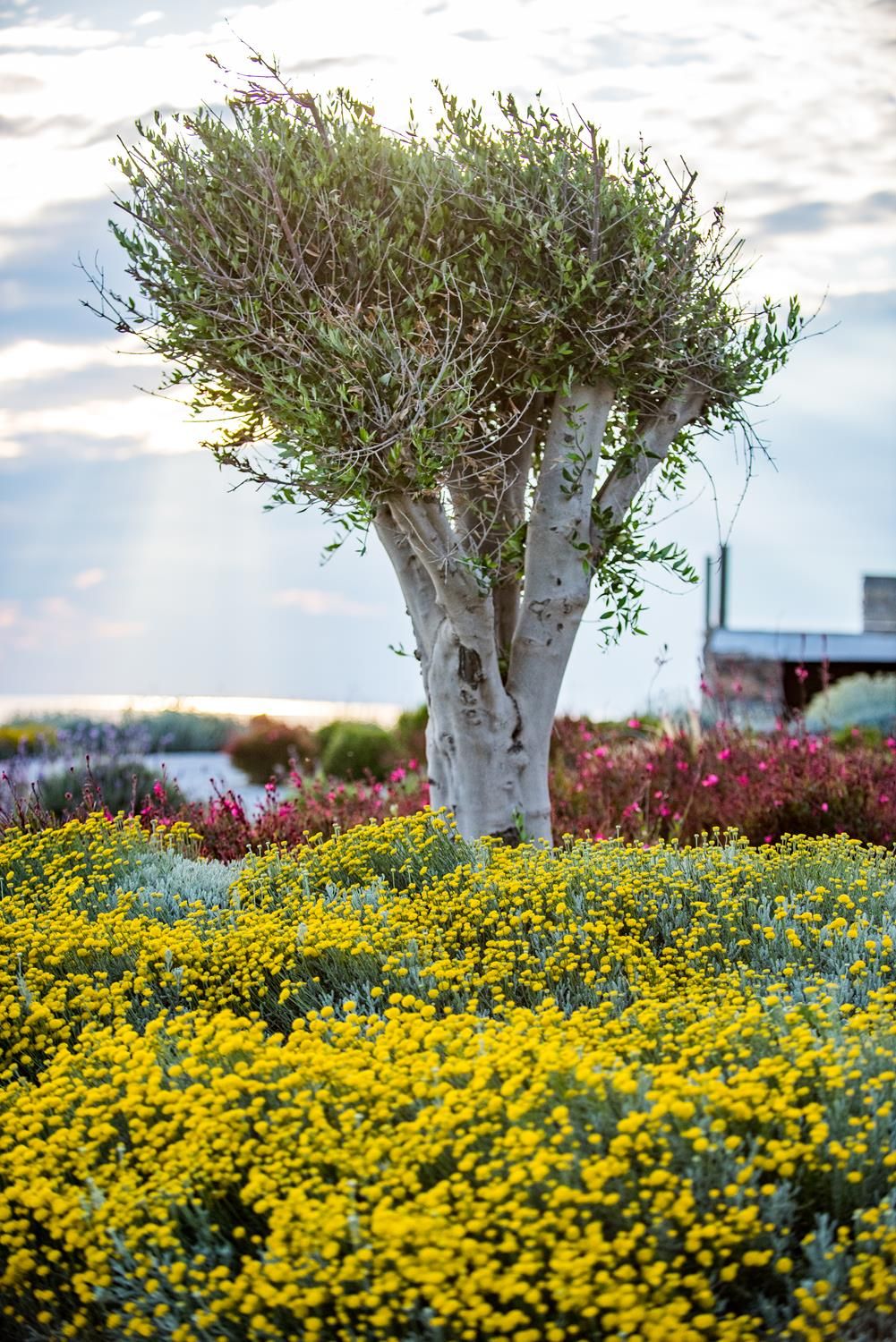 Vathi Bleu Private Villas Tinos