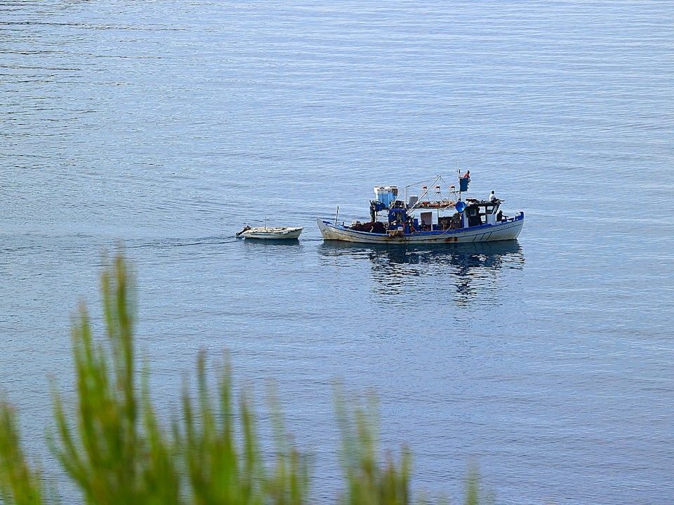 Xenia Residences & Suites