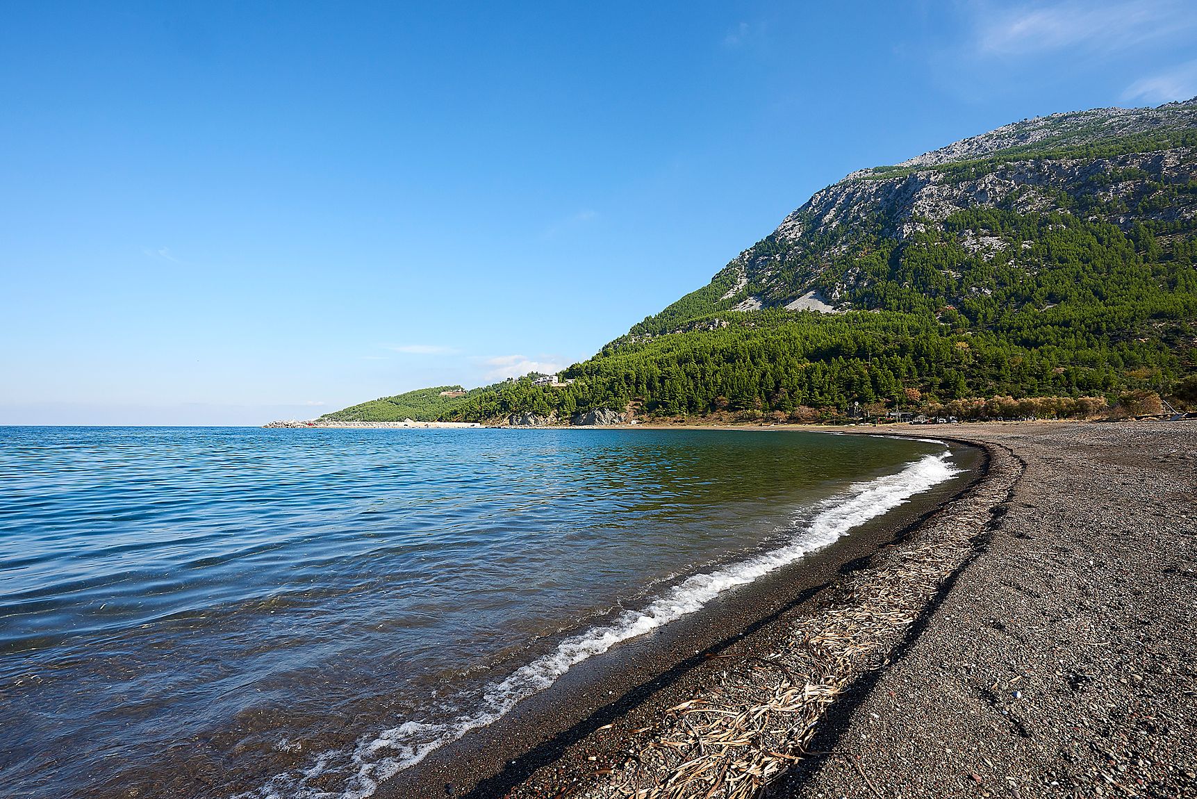 Xenia Residences & Suites