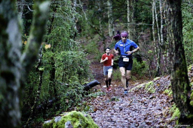 Zeus Hotel Platamonas