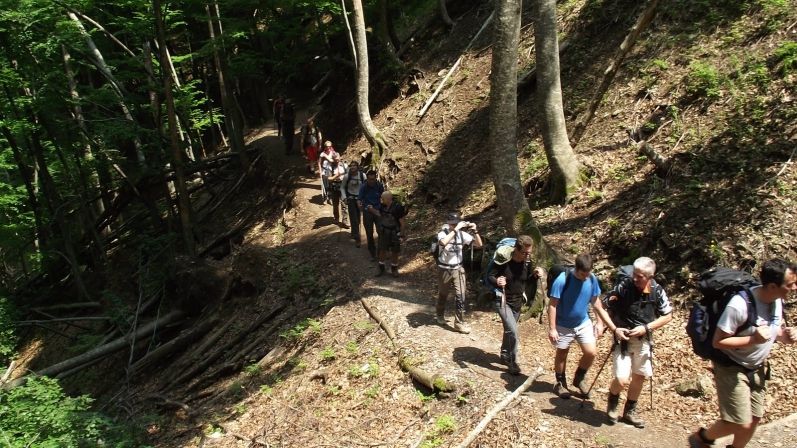 Zeus Hotel Platamonas