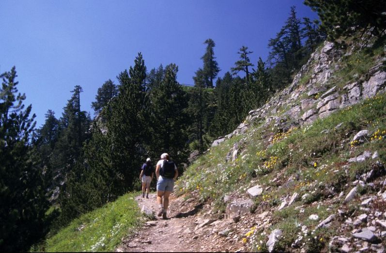 Zeus Hotel Platamonas