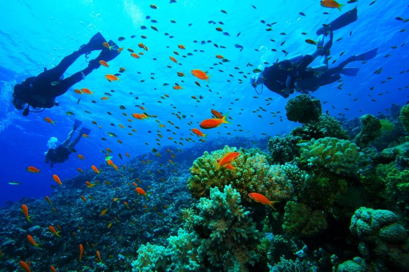 Zeus Hotel Platamonas