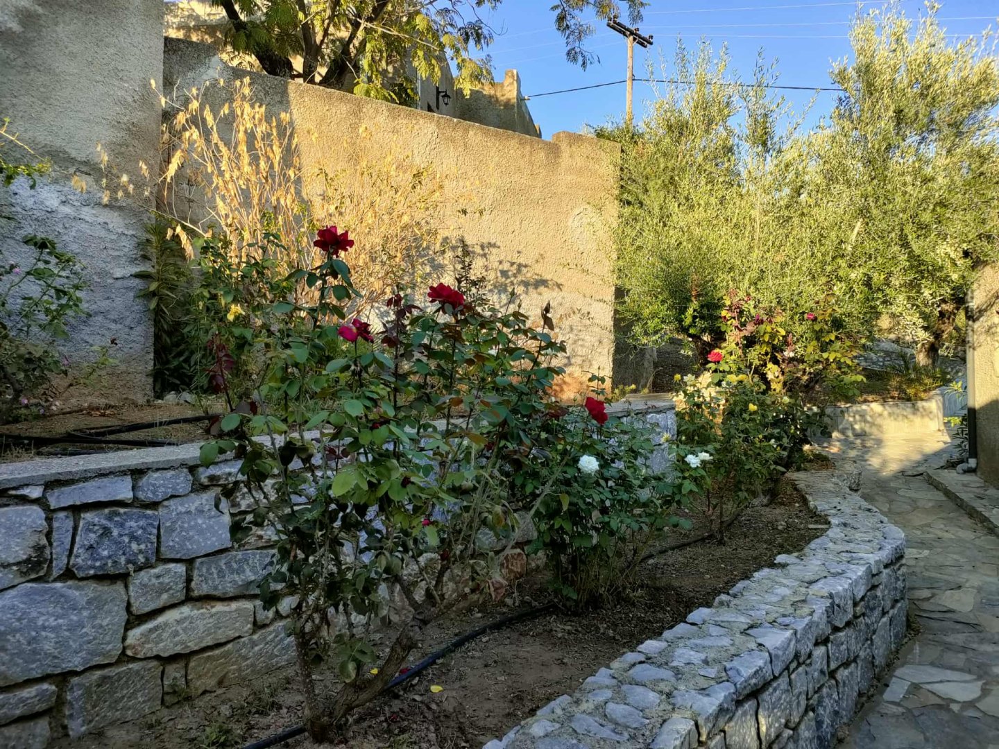 Cavo Grosso Bungalows