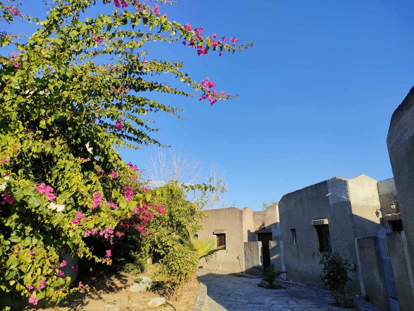 Cavo Grosso Bungalows