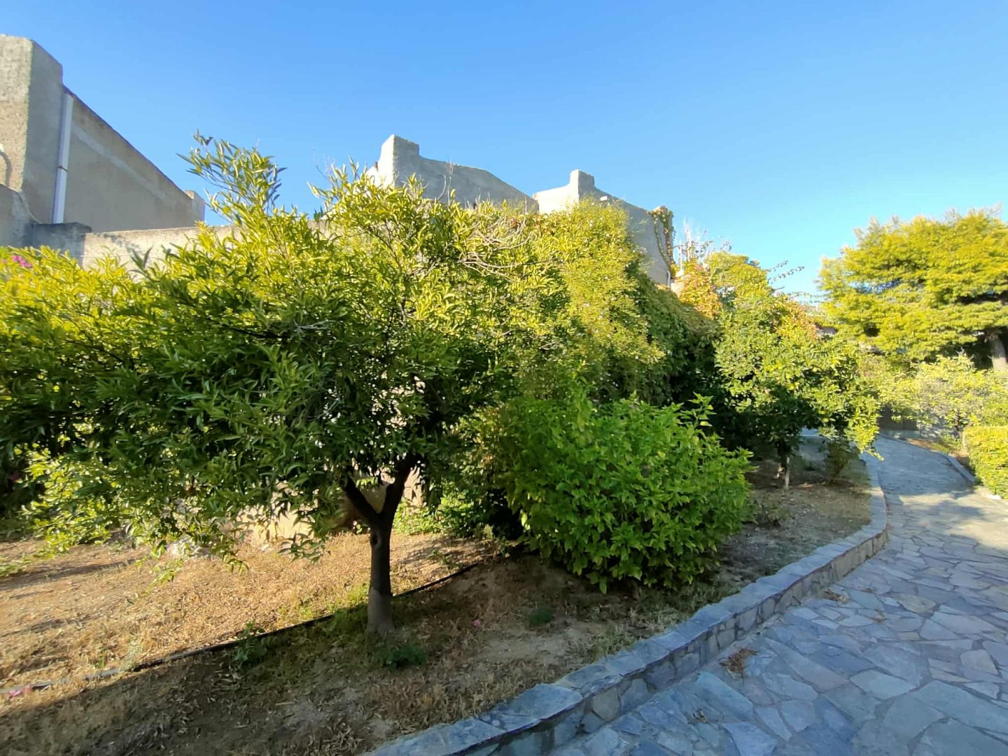 Cavo Grosso Bungalows