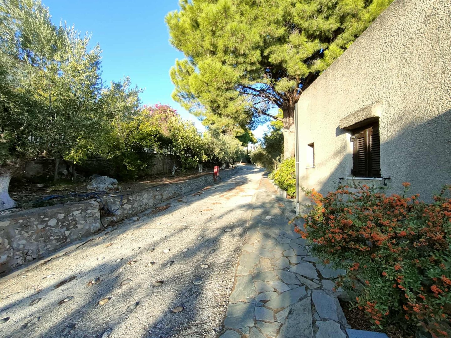 Cavo Grosso Bungalows