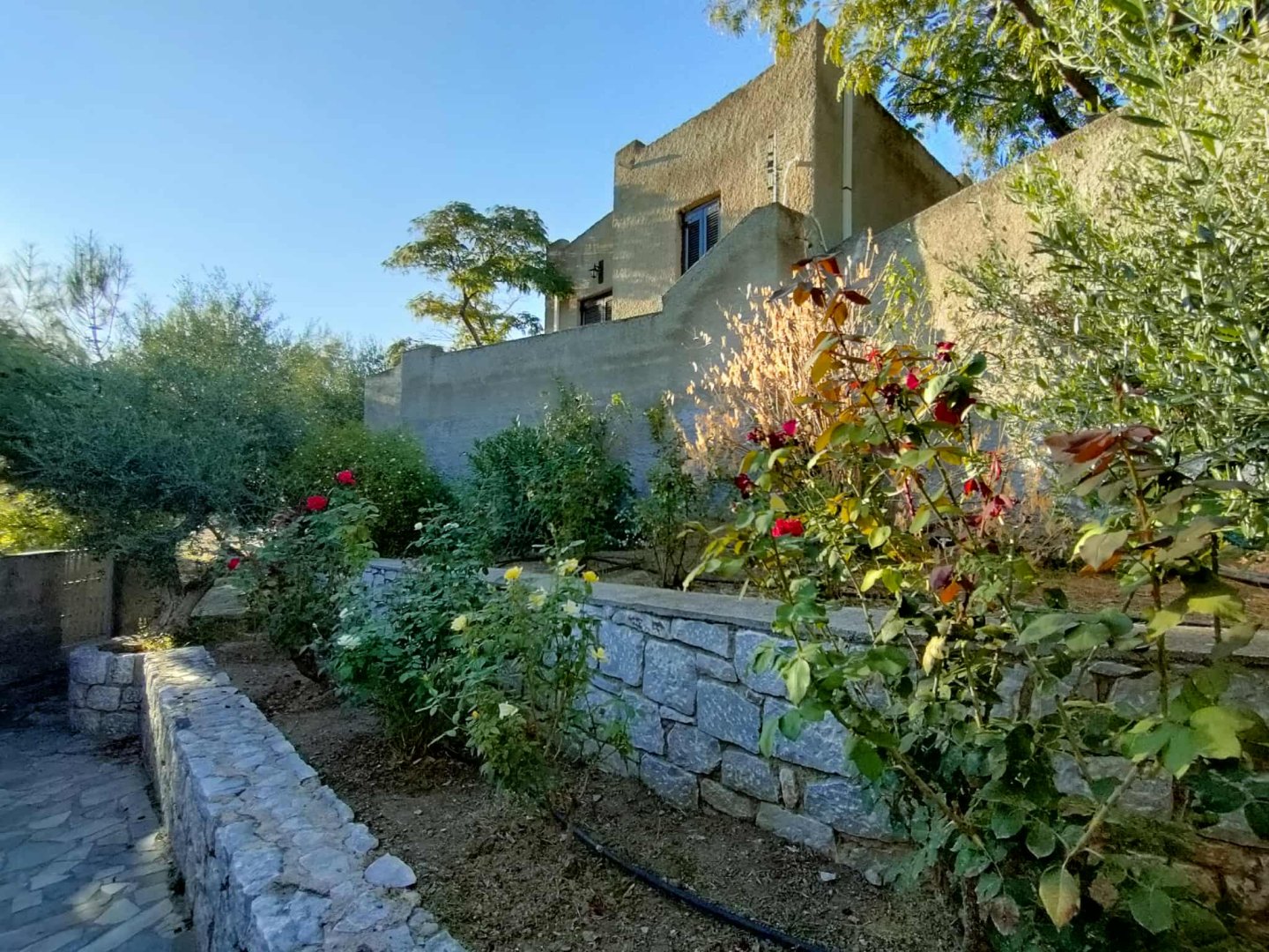 Cavo Grosso Bungalows