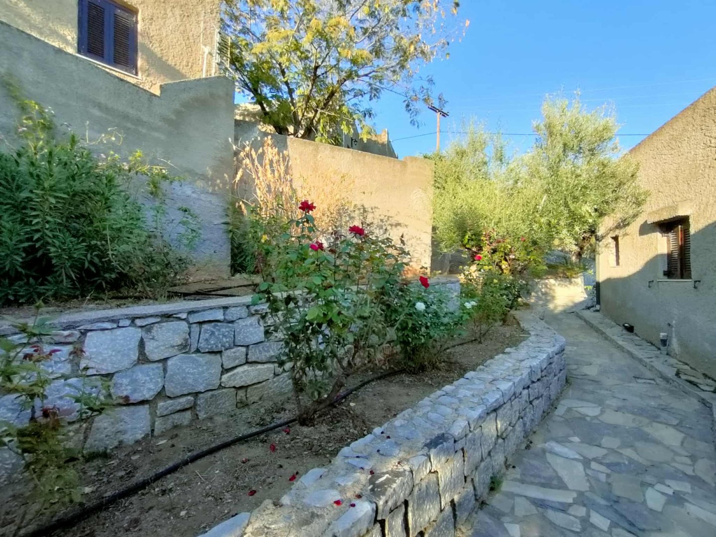 Cavo Grosso Bungalows