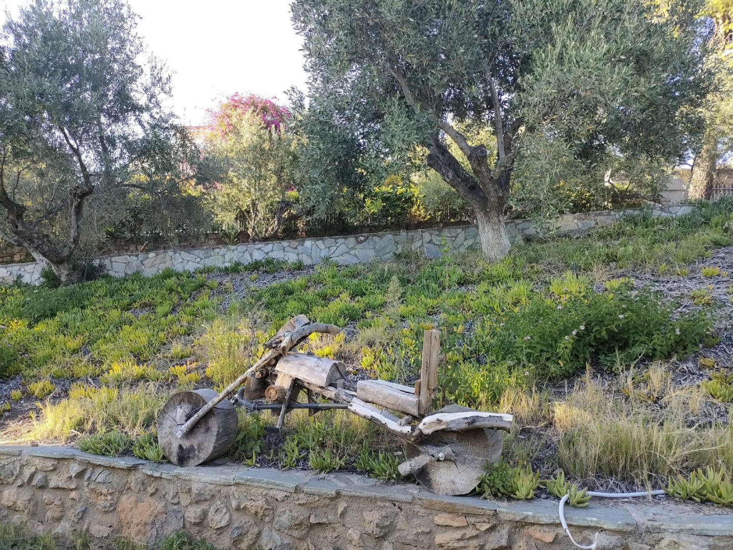 Cavo Grosso Bungalows