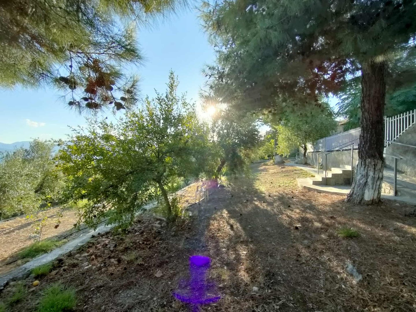 Cavo Grosso Bungalows