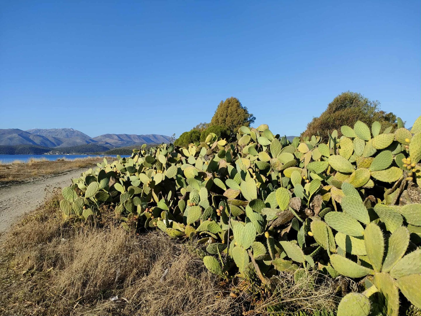 Cavo Grosso Bungalows