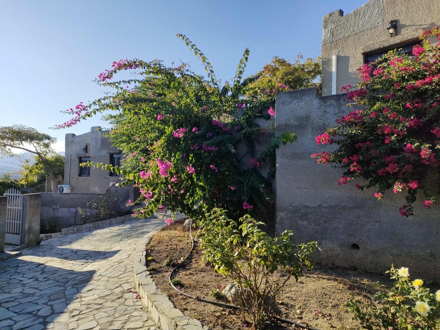 Cavo Grosso Bungalows