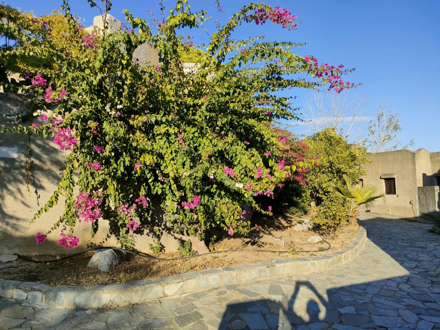 Cavo Grosso Bungalows