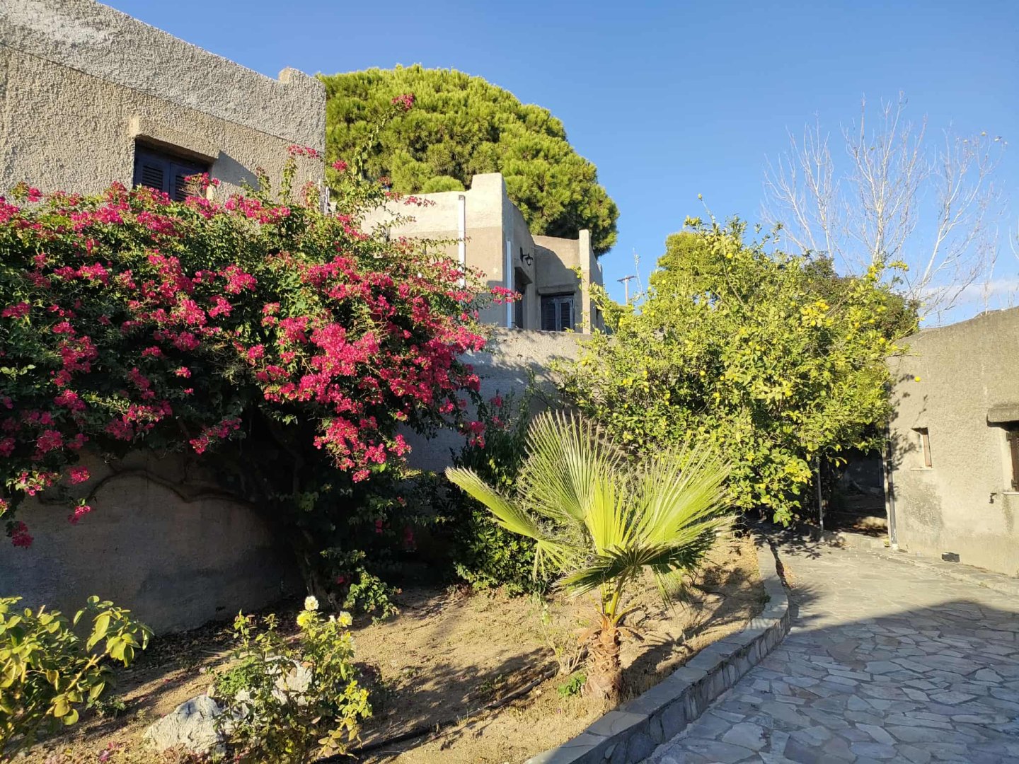 Cavo Grosso Bungalows