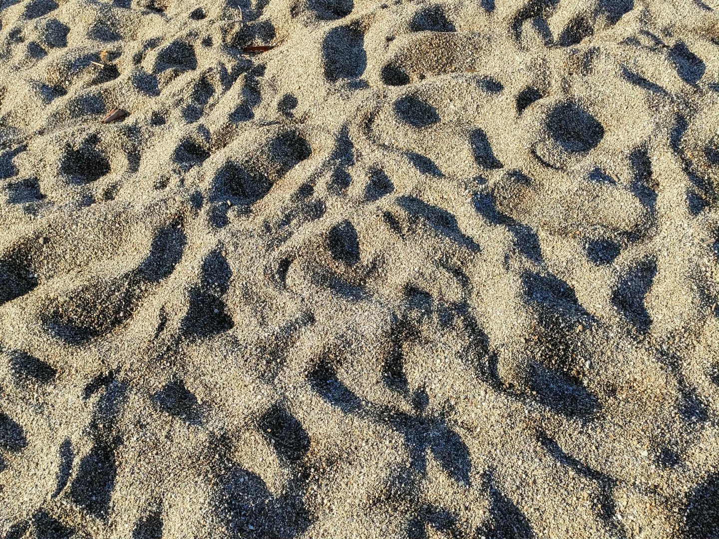 Cavo Grosso Bungalows