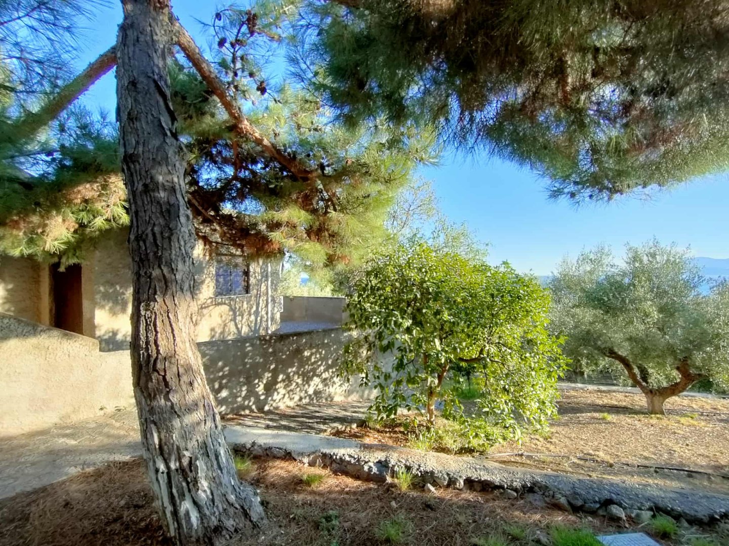 Cavo Grosso Bungalows