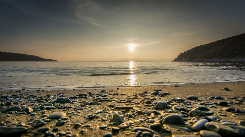 The Environment and Beaches