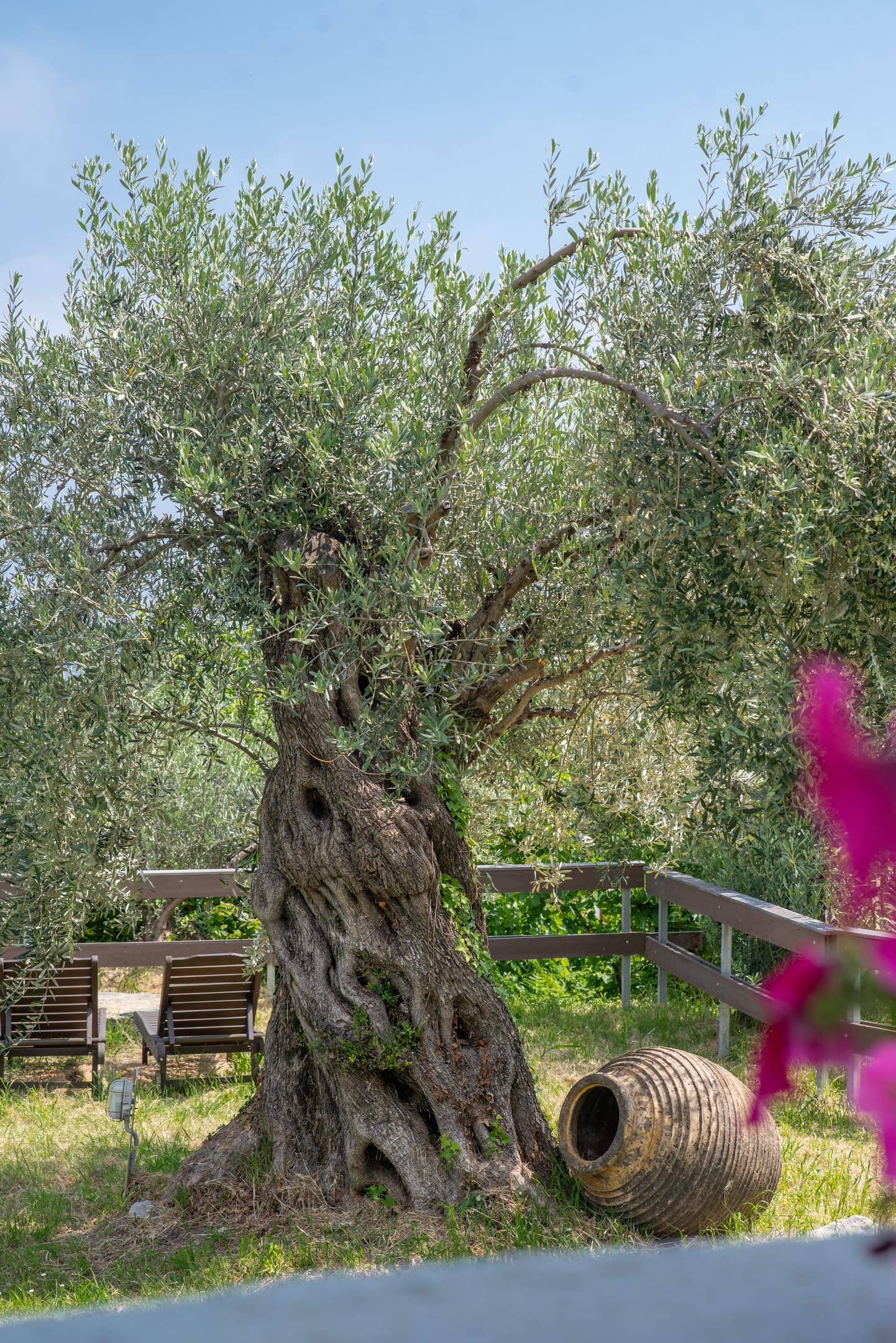 Aeolos Hotel & Villas - Pelion