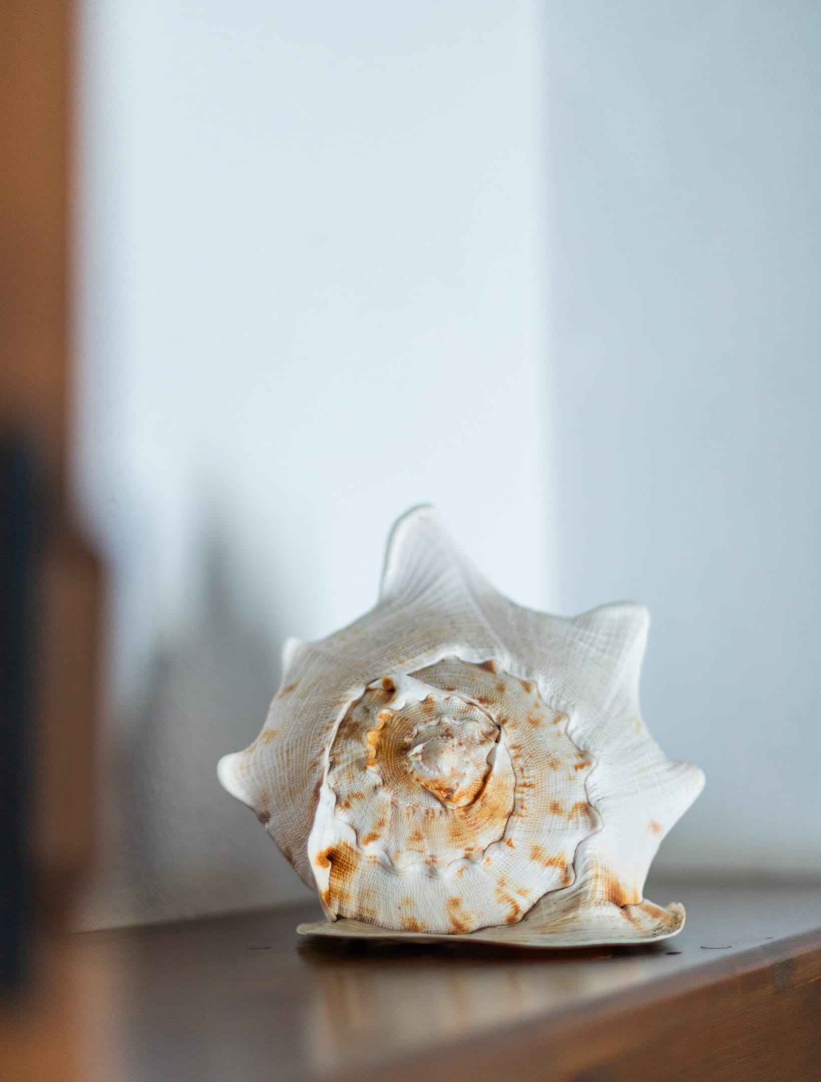 Aeolos Hotel & Villas - Pelion